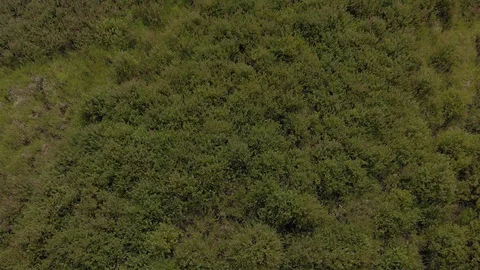Fern Ridge Lake Stock Footage 91757556