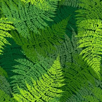 Fern seamless pattern Stock Illustration