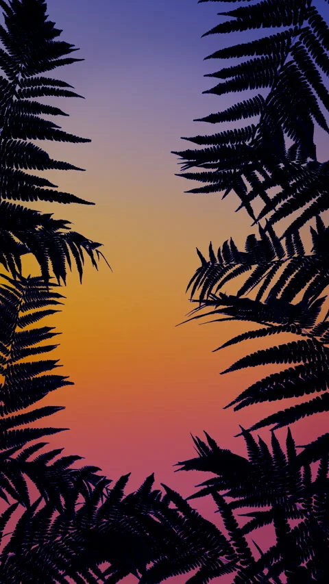 Fern silhouettes frame a sunset gradient in a seamless loop 動画素材 335019935