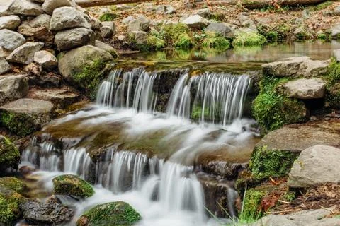 FERN SPRING Stock Photos