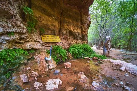 Fern Spring Water Source With Lush Ferns and Rocky Canyon Wall in Forest Camp Stock Photos