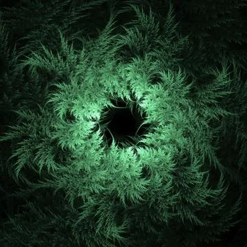 Fern vortex Illustrazione stock