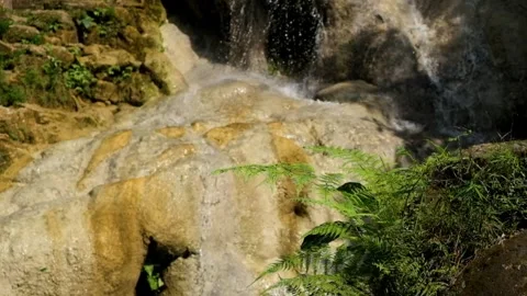 Ferns swaying against a waterfall backdrop Video stock 321321485