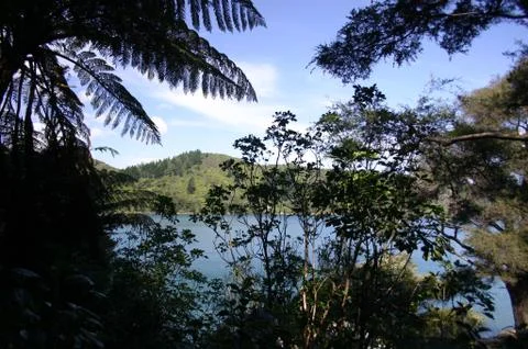 Ferns &amp; A View Stock Photos