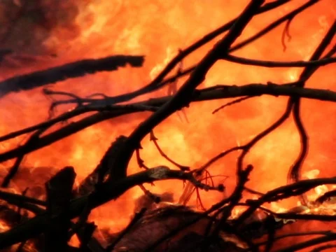 Ferocious Flames 1 Stock Footage 489902