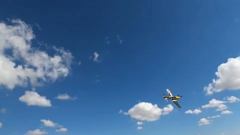 Ferocious Frankie P-51 Stock Footage 172379972