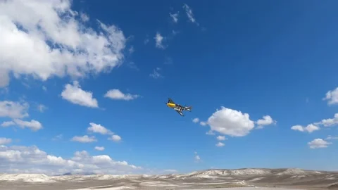 Ferocious Frankie P-51 Stock Footage 172379977