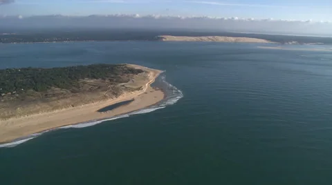 Ferret cape Video stock 51141253