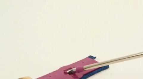 Ferret Running Stock Footage 52756293