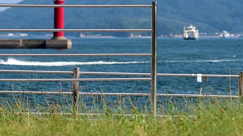 Ferries and Foxtail Grass seen through a Fence at a Seaside Park, 4K 库存影片 340946880