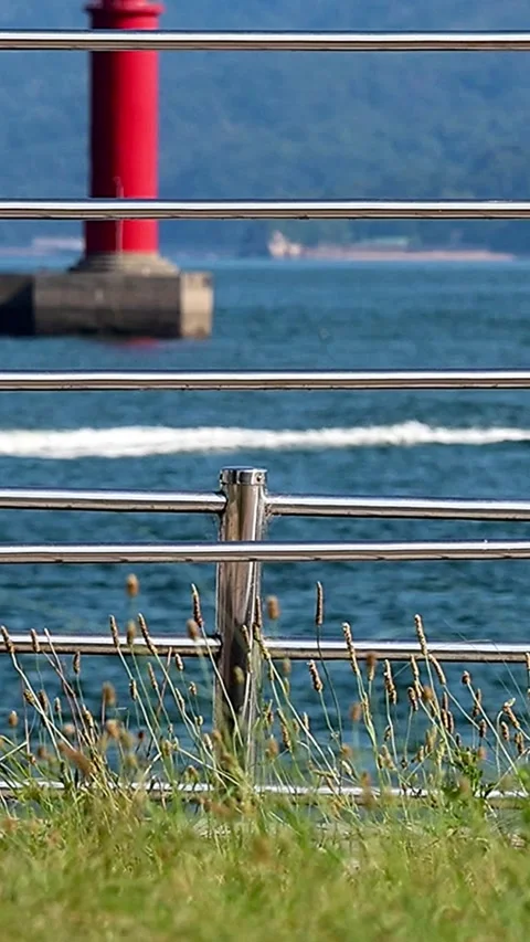 Ferries and Foxtail Grass seen through a Fence at a Seaside Park,Vertical 库存影片 340946889