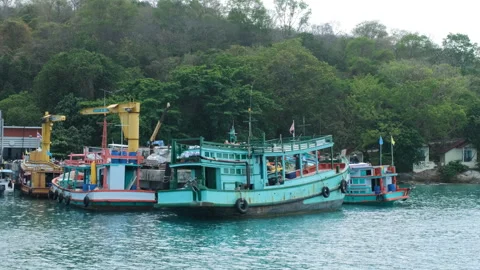 Ferries docked at pier with workers unloading Stock-Footage 332846985