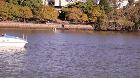 Ferries pass each other 库存影片 39887479