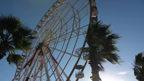 Ferris wheel and palm trees in sunny and windy weather Stock Footage 297866725