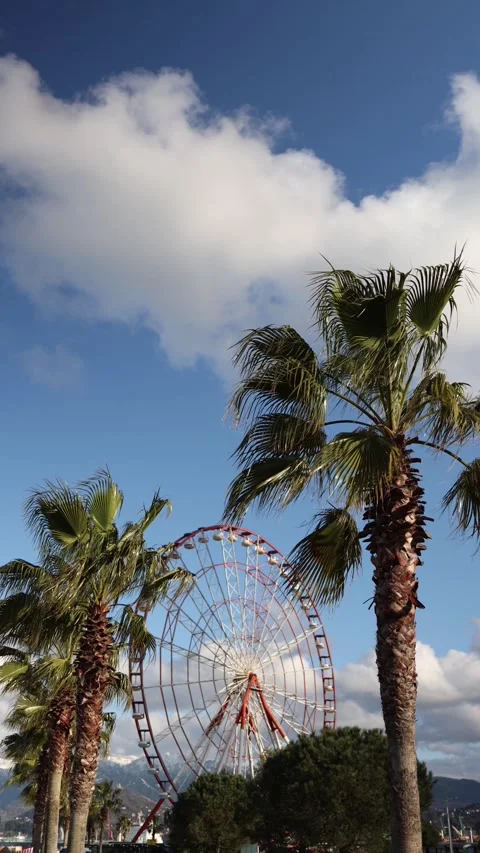 Ferris wheel and palm trees in sunny city Stock Footage 331023864