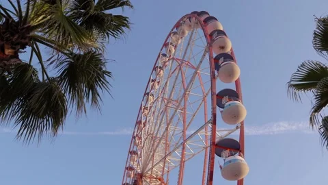 Ferris wheel and two palms Stock Footage 180671826