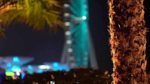 Ferris wheel on the background of palm trees in Dubai Marina Stock Footage 219642120