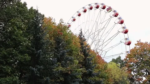 Ferris wheel behind the autumn trees in the park. Stock Footage 81382833