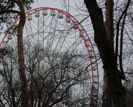 Ferris wheel behind bare trees in winter against grey sky Фото