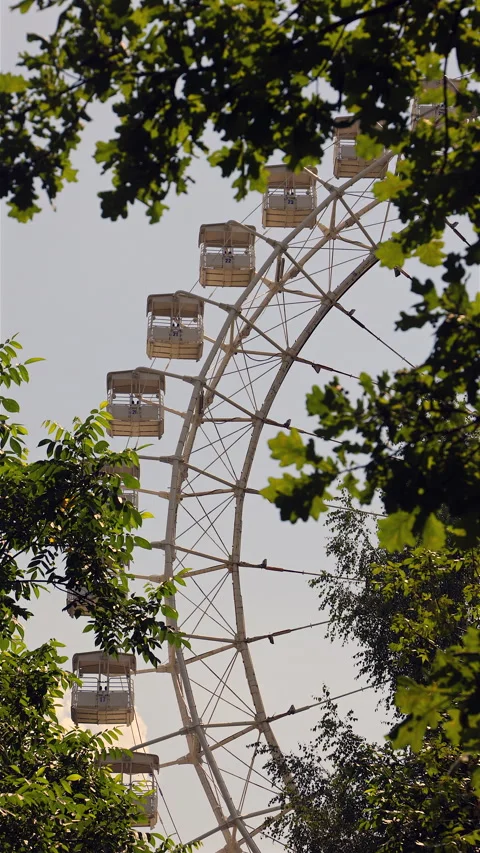 Ferris Wheel Behind Lush Greenery On A Sunny Day. Vertical. Stock-Footage 286986281