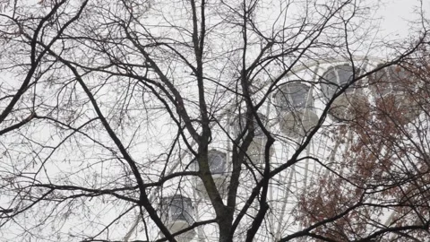 Ferris Wheel Cabins Seen Through Bare Winter Trees at Jul i Vinterland Market Видео 339759296