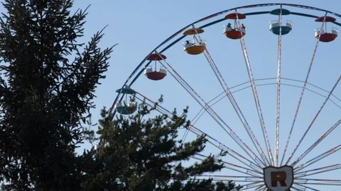 Ferris wheel daytime pan left to right past tree in foreground Video stock 92828639