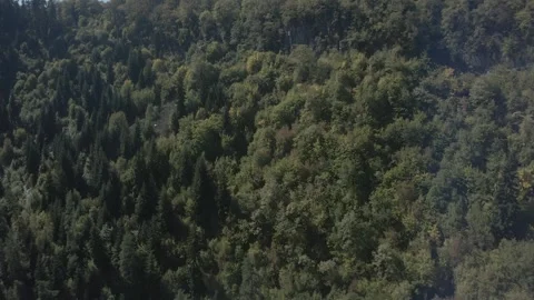 A ferris wheel Stock Footage 291703074