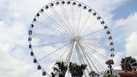 Ferris Wheel in Motion Stock Footage 81754043