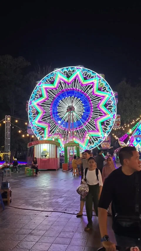 Ferris wheel at night Stock Footage 324599733