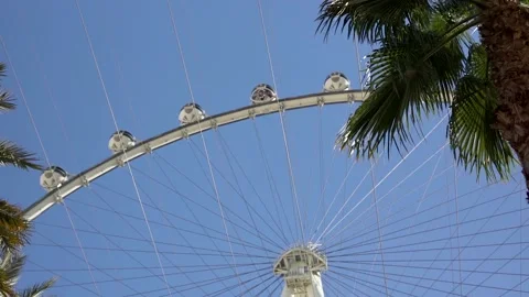 Ferris Wheel with Palm Trees in foreground Stock-Footage 164398200