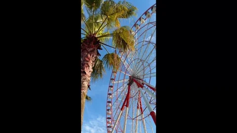 Ferris wheel with palm trees on the seaside promenade in Batumi. Vertical v.. Stock Footage 345834323