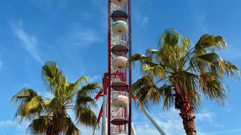 Ferris wheel with palm trees on the seaside promenade in Batumi Stock Footage 345834353