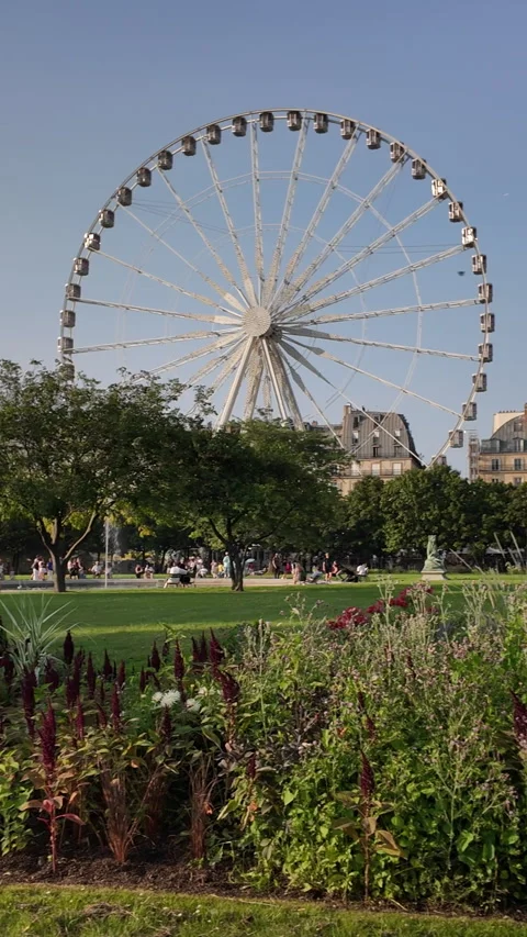 Ferris Wheel Paris Stock Footage 314879840