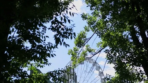 Ferris wheel in park Stock Footage 72323789