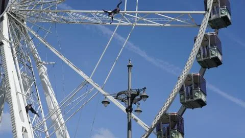 Ferris wheel. 스톡 사진