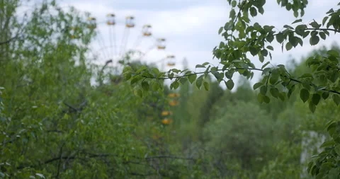 The Ferris wheel in Pripyat behind trees Stock Footage 200835589