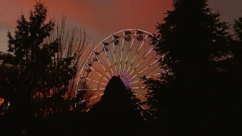 Ferris wheel rotating behind silhouettes of trees at sunset Stock Footage 313618333
