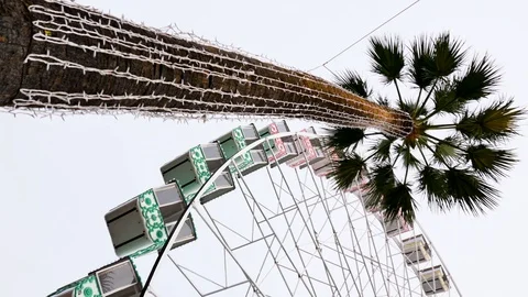 A ferris wheel spins near a palm tree Stock Footage