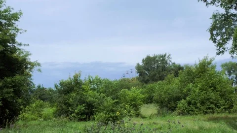 Ferris wheel stands in the forest Video stock 80087029