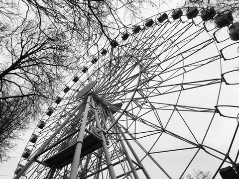 Ferris wheel structure rises against sky with bare branches around. Large 스톡 사진