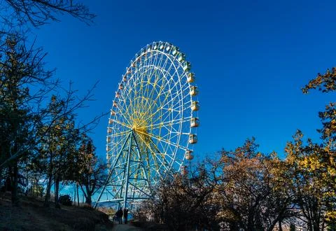 Ferris Wheel Through Trees Stockfoto's