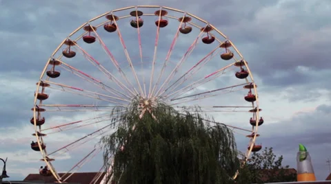 Ferris Wheel With Tree 動画素材 28996626