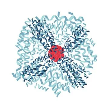 Ferritin protein molecule strusture Stock Illustration