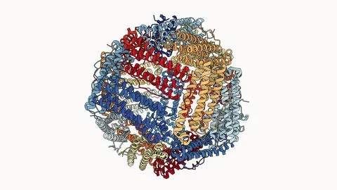 Ferritin Protein Structure Visualization Stock Illustration