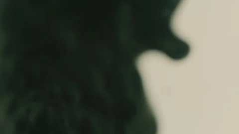 Ferrofluid Fluid Stock Footage 319917027