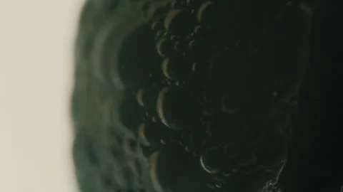 Ferrofluid Fluid Stock Footage 319917115