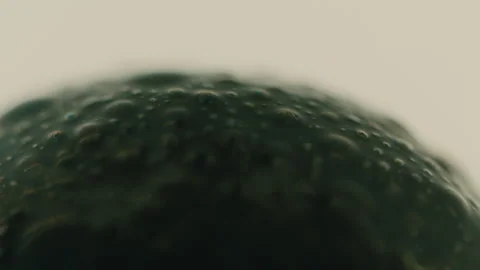 Ferrofluid Fluid Stock Footage 319917169