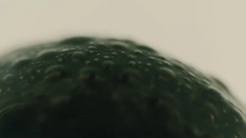 Ferrofluid Fluid Stock Footage 319917195