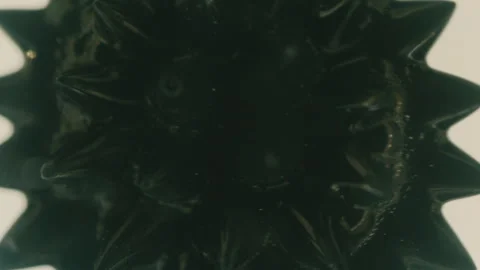 Ferrofluid Fluid Stock Footage 319917219