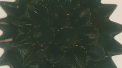 Ferrofluid Fluid Stock Footage 319917238